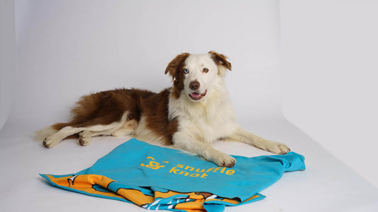 More Than Just a Wag: Unveiling the Sentient Soul of Dogs