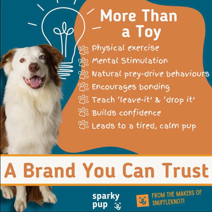 RuffleTug | Blue Ball