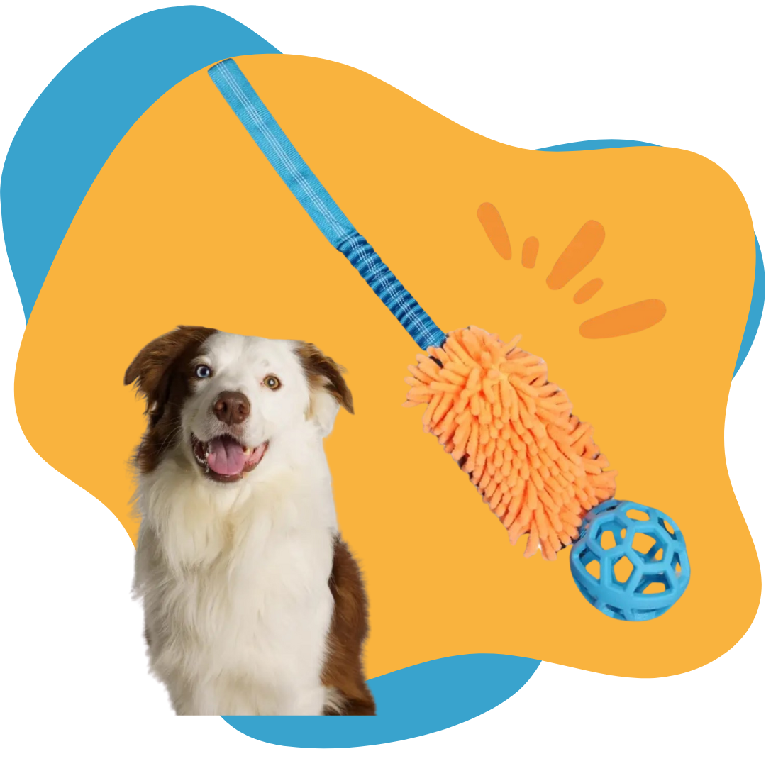 RuffleTug | Blue Ball