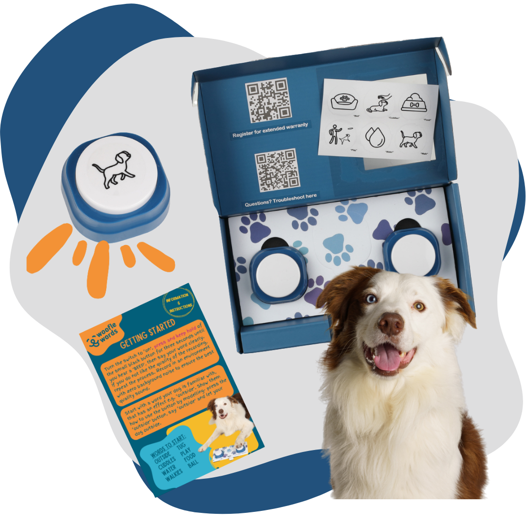 Woofle Words | 2 Buttons