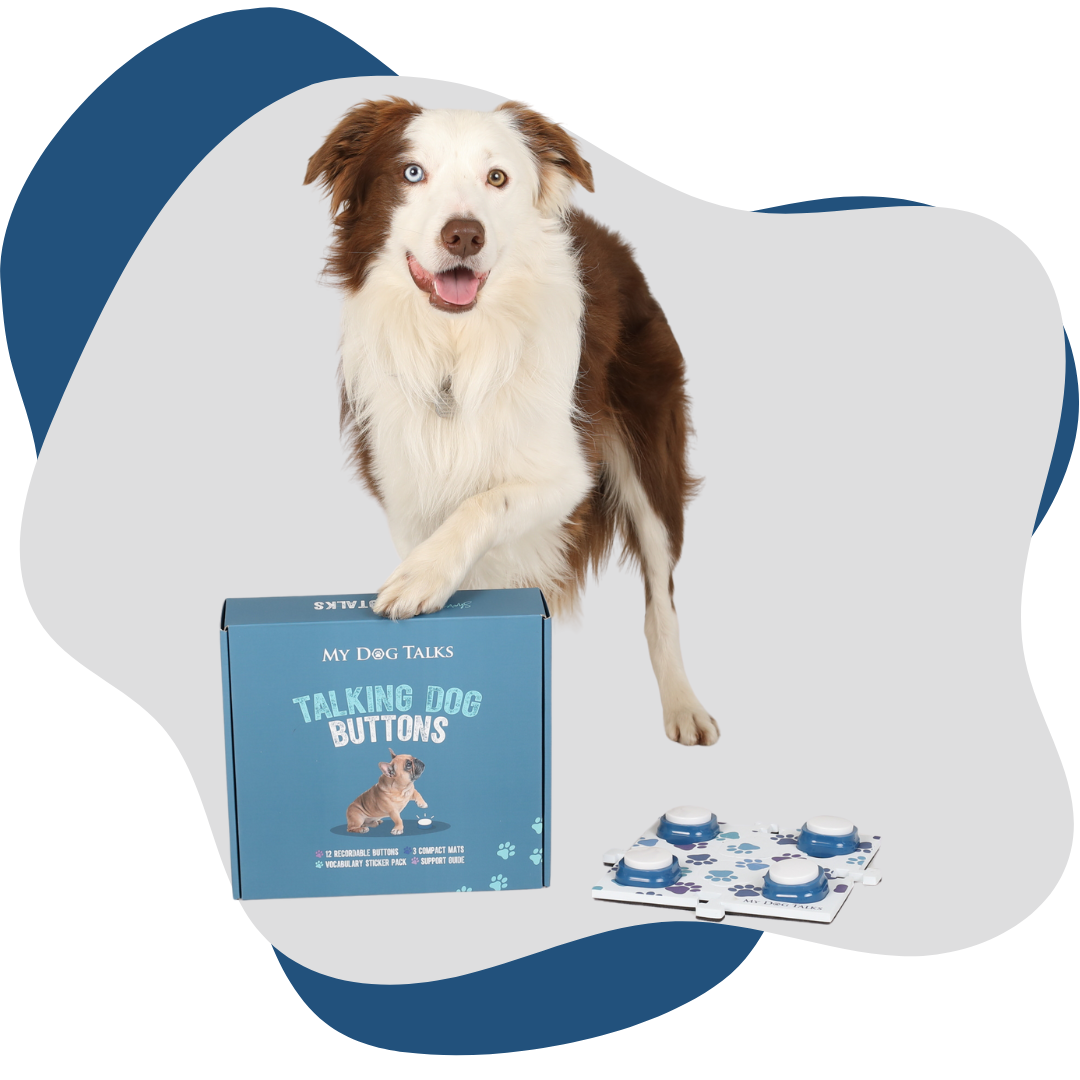 Woofle Words | 4 Buttons