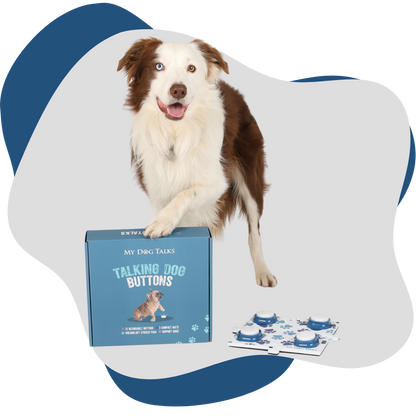 Woofle Words | 4 Buttons