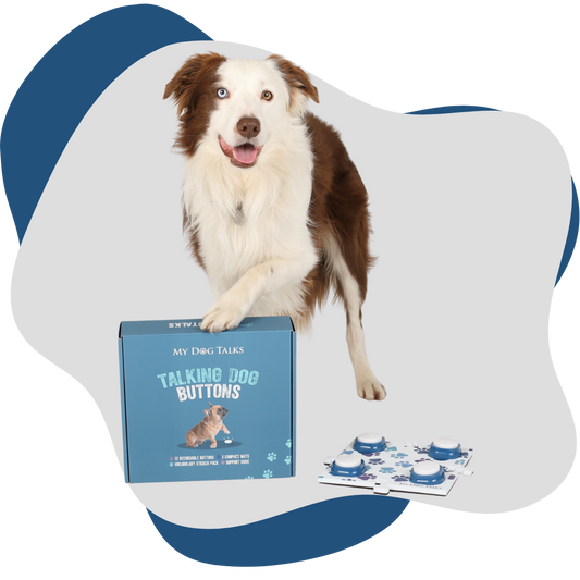 Woofle Words | 4 Buttons